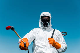 Best Bee and Wasp Removal  in Emerald Lake Hills, CA